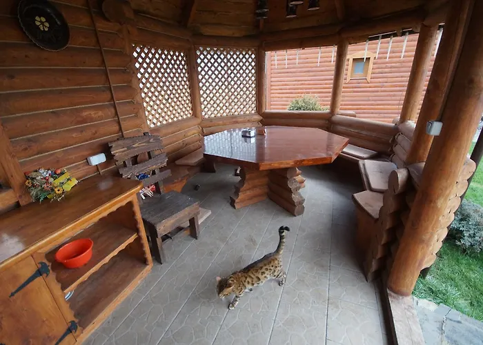 Panorama Ясиня